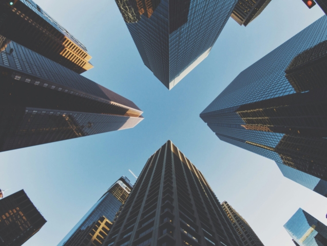 samson-ZGjbiukp_-A-unsplash